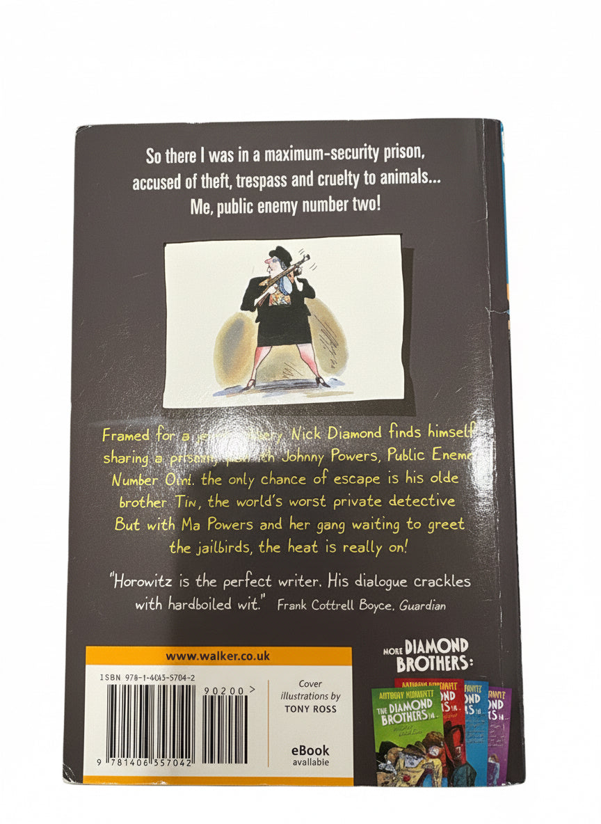 The Diamond Brothers in Public Enemy number two 